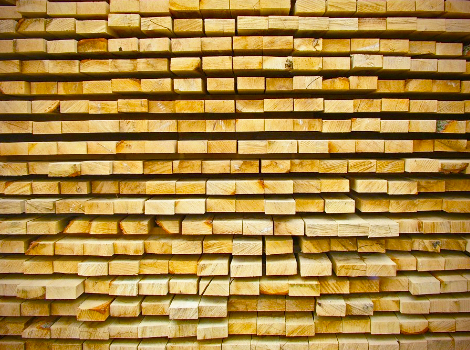 nativas